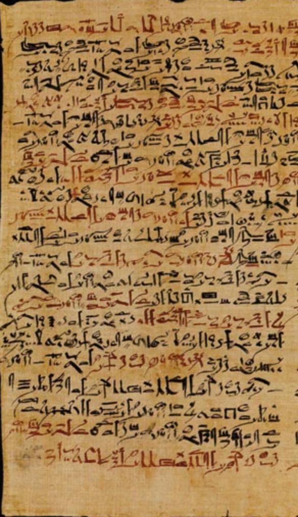 The Edwin Smith Papyrus
